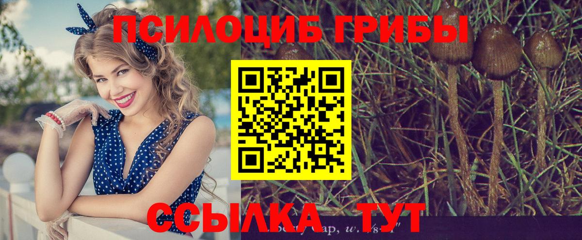 Галлюциногенные грибы Magic Shrooms  Вход с VPN  Галлюциногенные грибы ЛСД  Ярцево 