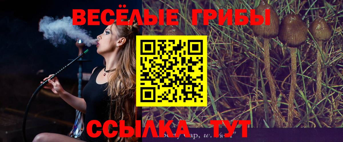 ГАШ  Амфетамин   МЕФ кристаллы  Ярцево  Вход с VPN 